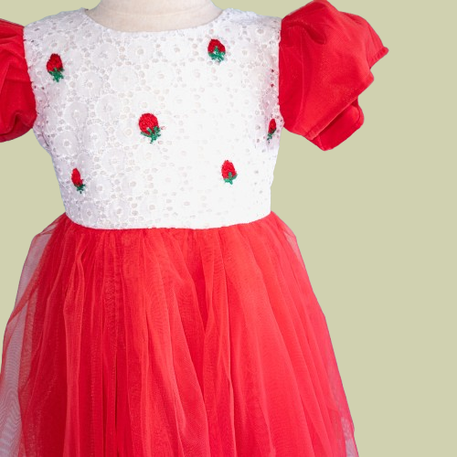 Red and white dress with floral details on a light green background