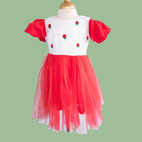 Red and white dress with floral details on a green background